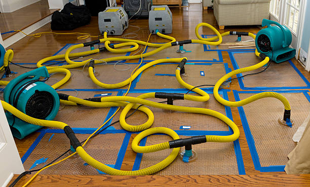 Professional Water Extraction technician working in Saint Clair, MO